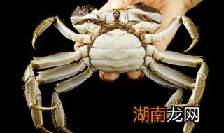 蒸箱蒸螃蟹要多长时间 蒸箱蒸螃蟹要多长时间蒸的个数多要多长时间