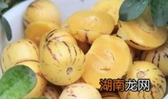 人参果怎么吃图解 人参果可以怎么吃