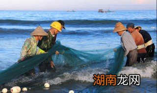 怎样烧鱼又嫩又入味 鱼怎样烧出来更入味