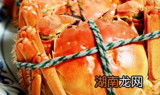 吃蟹方法简单介绍 吃蟹的八种方法