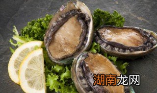 鲍鱼的常见吃法 鲍鱼的吃法和做法