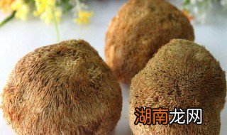 猴头蘑菇如何做 猴头蘑菇如何做好吃