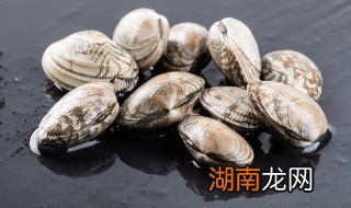 怎么做卤蛤蜊 自己做卤蛤蜊的方法