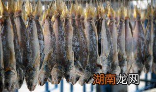 咸鱼正确腌制方法 咸鱼正确腌制方法视频