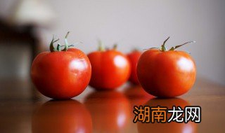买西红柿怎么挑选好吃 买西红柿怎么挑选