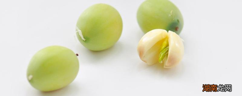 新鲜莲子怎么保存 新鲜莲子怎么吃比较好