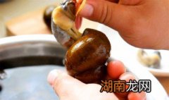 田螺能吃吗 田螺有寄生虫吗