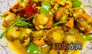 扇贝肉怎么吃 扇贝肉怎么吃法家庭吃法