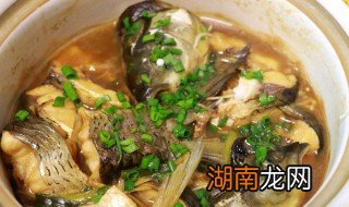 草鱼鱼腩怎样做好吃 香焖草鱼腩的做法