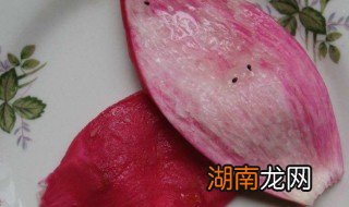 火龙果皮怎么吃 火龙果皮怎么吃治便秘