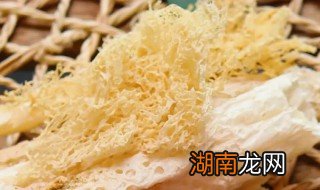 竹荪怎么吃最好 竹荪不适合吃的人群