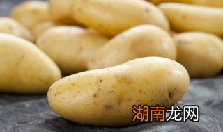 土豆和米饭哪个容易胖 减肥可以吃土豆当主食吗