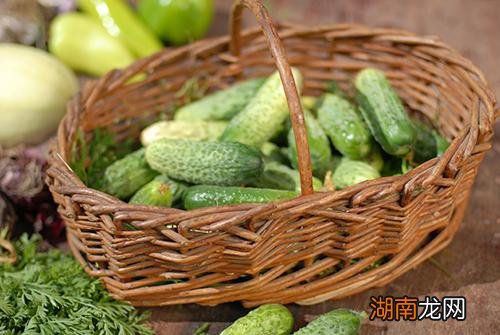 喝苦瓜茶有什么好处 苦瓜茶怎么做