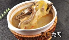 党参鸭条 党参鸭子