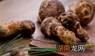 松茸肉末 松茸肉末汤