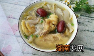 凤尾菇清炖鸡肉的做法 凤尾菇清炖鸡