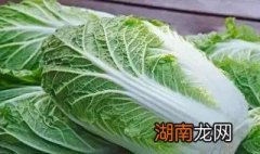 白菜馅饺子的做法 白菜馅饺子怎么做