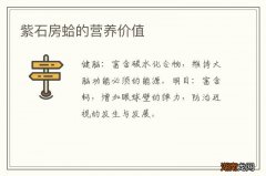 紫石房蛤的营养价值