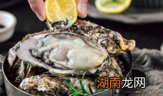 高压锅蒸生蚝的做法 高压锅如何蒸生蚝