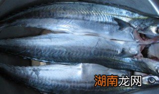 鲅鱼如何做不腥 鲅鱼怎样做不腥气又好吃