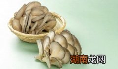 干煎平菇做法窍门 干煎平菇的做法