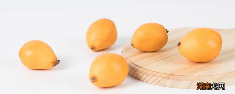 枇杷可以解酒吗 枇杷有什么作用功效