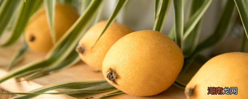 新鲜枇杷怎么保存 枇杷不能和什么一起吃