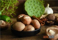 哪些人不能吃香菇 吃香菇会胖吗