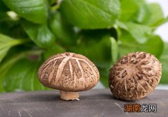 鲜香菇可以冷冻保存吗 香菇怎么保存时间长