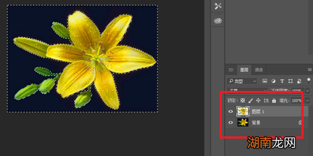 用PS快速做出白底图的方法，每个小白都可以！