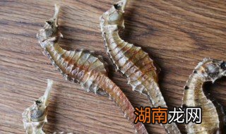 新鲜海马怎么吃最有营养 新鲜海马怎么吃