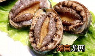 鲍鱼做法大全家常做法 鲍鱼做法大全