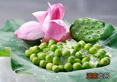新鲜莲蓬可以直接吃吗 新鲜莲子怎么吃比较好