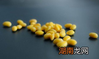 黄豆粟米浆做法窍门 粟米豆浆还配什么材料