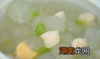 瑶柱的家常做法 瑶柱的烹饪方法