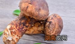 新鲜姬松茸的家常做法有哪些 新鲜姬松茸怎么做