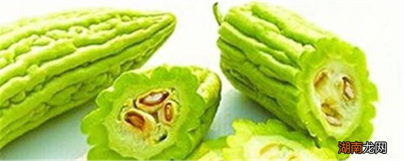 苦瓜怎么做不苦又好吃 苦瓜的做法大全