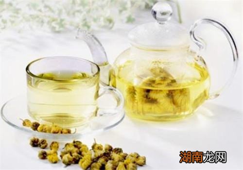 野菊花怎么泡水喝 吃野菊花茶的好处