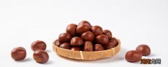 板栗属于坚果吗 板栗生吃好还是熟吃好