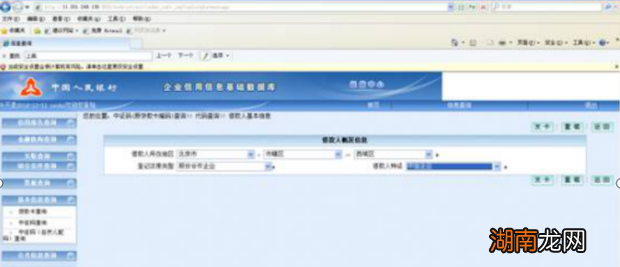 企业中征码怎么查