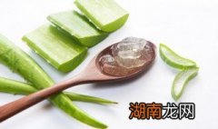 芦荟的吃法和做法大全 盘点芦荟的吃法
