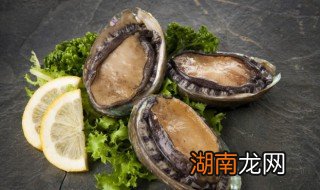 鲍鱼怎么做好吃 家常做法 鲍鱼怎么吃好吃