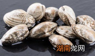 花蛤怎么做好吃又简单 花蛤好吃又简单的做法
