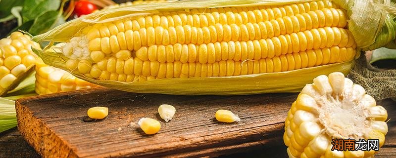 粗粮能天天吃吗 越吃越瘦的10种杂粮