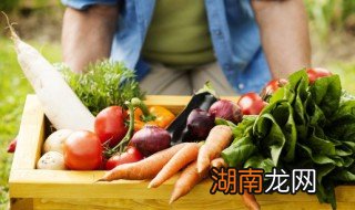 萝卜馅怎么调才好吃又简单 萝卜馅怎么调才好吃