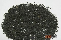 蚕沙的营养价值