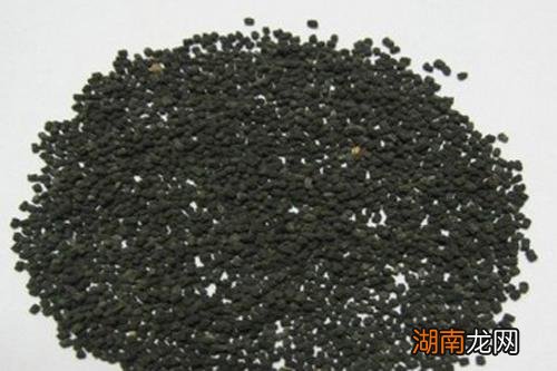 蚕沙的营养价值