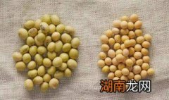 黄豆如何做豆腐 黄豆做豆腐的方法