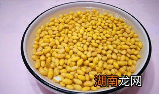 黄豆如何做才没有嘌呤 黄豆的营养价值