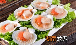 扇贝怎么蒸好吃不腥 扇贝怎么蒸好吃